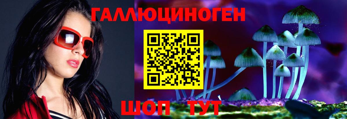 Псилоцибиновые грибы Psilocybine cubensis  Вход с VPN  Крымск 